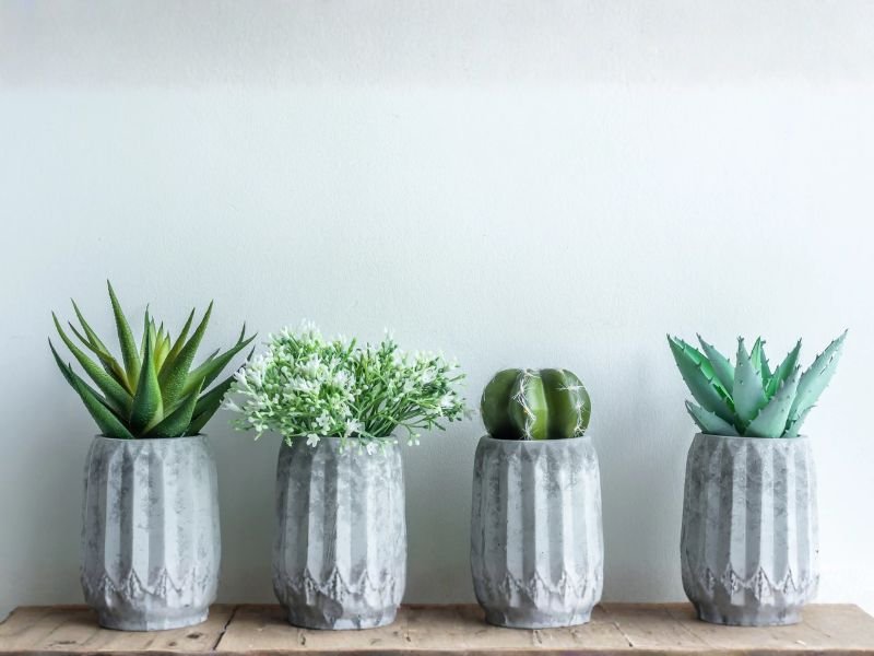 Cactus Planter Set