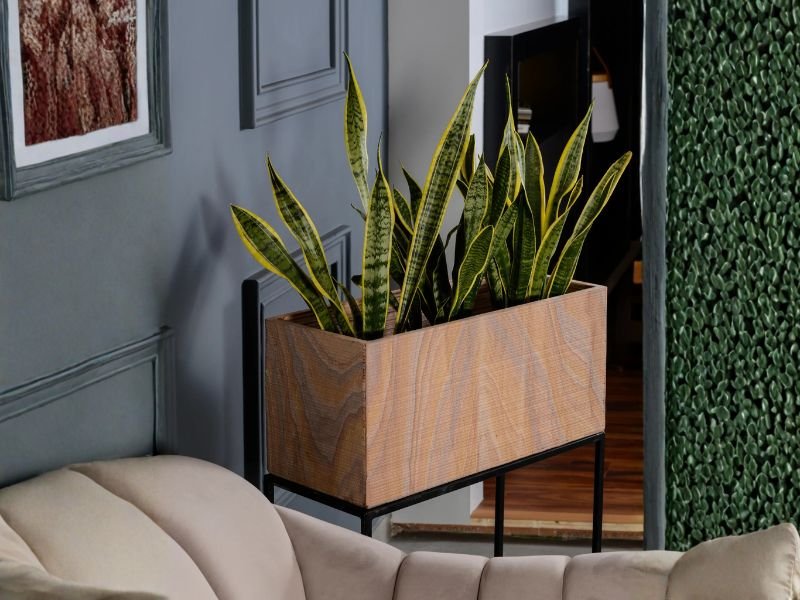 Wooden Rectangular Planter Box with Black Metal Stand